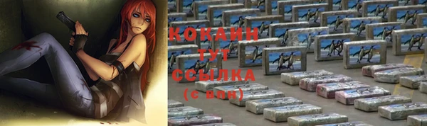 тгк Новозыбков
