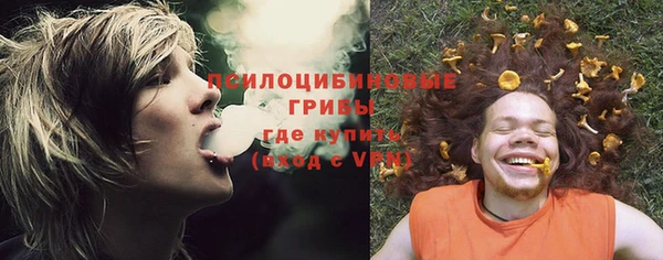 ПСИЛОЦИБИНОВЫЕ ГРИБЫ Абинск